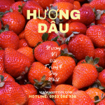 Hương Dâu