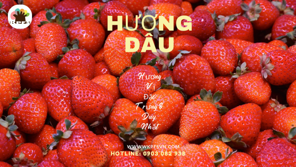 Hương Dâu